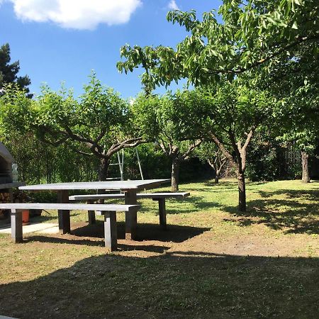 Nefelejcs Apartman Balatonvilágos Екстериор снимка
